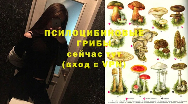 кокаин колумбия Алзамай