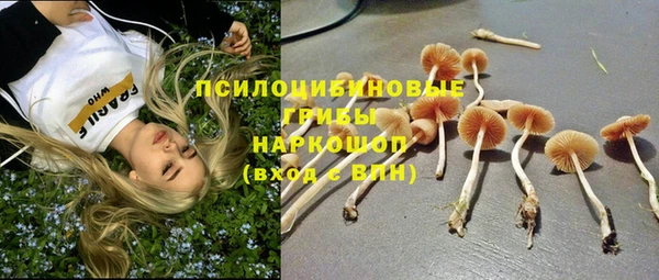 первитин Алексин