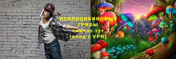 кокаин колумбия Алзамай