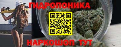 бошки Гатчина