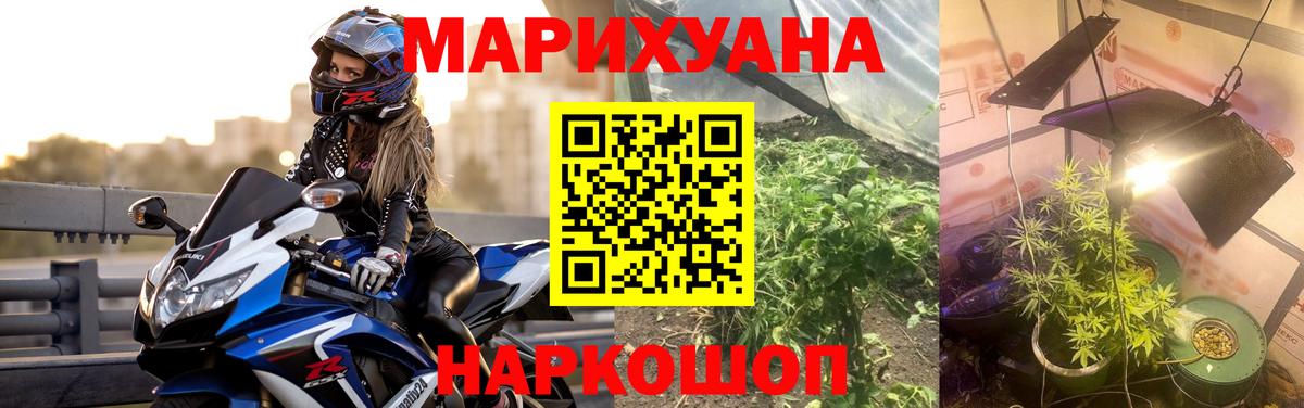 Шишки марихуана сатива Муравленко